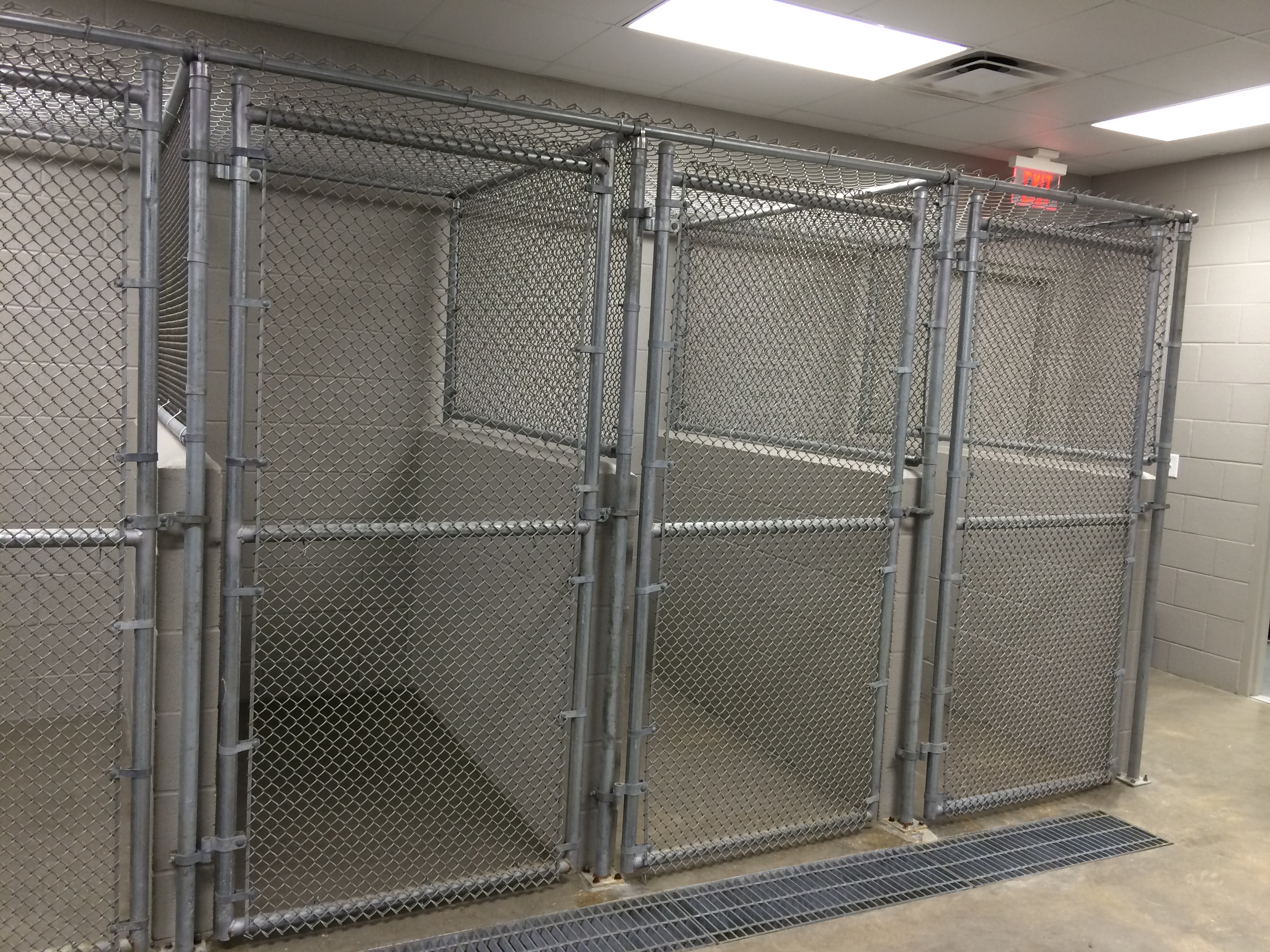 Inside view of Shelter